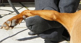DSCN7185.JPG