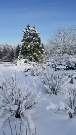 IMG-20210115-WA0001.jpg IMG-20210115-WA0001.jpg