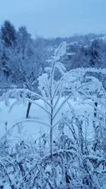 IMG-20221218-WA0003.webp IMG-20221218-WA0003.webp