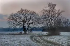 DSC_0104obKopieren.webp DSC_0104obKopieren.webp