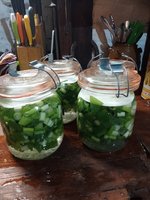 IMG_20221119_224358.jpg
