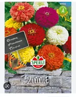 Screenshot_20221230_214551_Google.webp Screenshot_20221230_214551_Google.webp