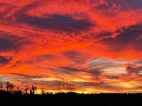 45D89041-22C6-4BCC-9D78-946B17735B23.jpeg