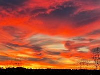 EB34B316-111B-4776-85F2-AF6F078B46B2.jpeg