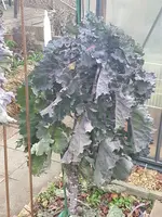20230101_120429.webp