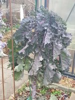 20230101_120429.jpg