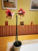 IMG_20230101_172144.webp