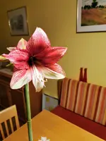 IMG_20230101_172221.webp