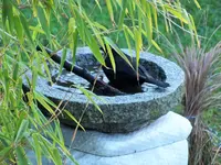 DSCF5309 (2).webp