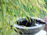 DSCF5311 (2).webp