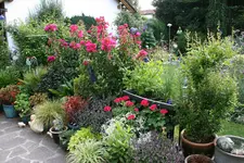 Terasse       5722.webp