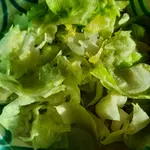 20221230_120655.webp