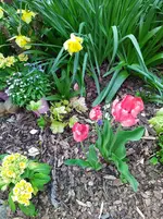 IMG_20220415_140958.webp