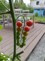 IMG_20210430_181248.jpg