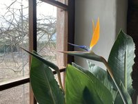 IMG_0053.jpeg
