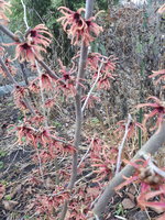 20230105_153811.jpg