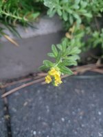 20230105_082127.jpg