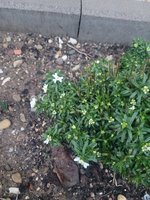 20230105_082041.jpg