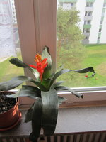IMG_2108.JPG