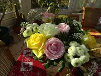 DSC02766.webp