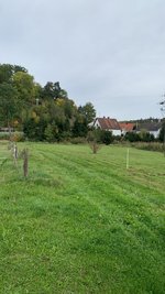 915205E0-5A73-465E-A56F-EC19DE50F141.jpeg