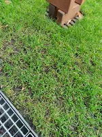 IMG_20230107_155811.webp