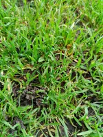 IMG_20230107_155815.webp