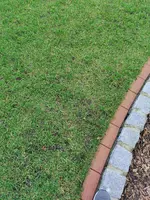 IMG_20230107_155858.webp