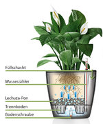 lechuza-classico-watergeefsysteem-uitleg-du.jpeg