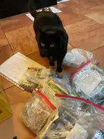 4340F738-D2D0-440B-9B49-B7B46607E0B6.jpeg