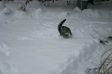 Jan.2010.jpg