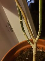 20230109_233024.jpg