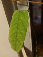 20230109_232956.jpg