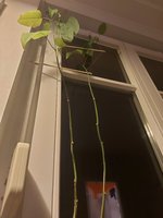 20230109_232946.jpg