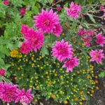 20230110_124154.webp