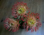 2023Vase1.webp