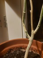 20230110_215723.jpg