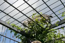Juni0611.webp