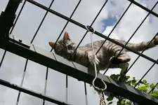Juni1111.webp