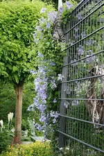 Juni2211a.webp