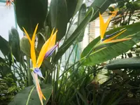 IMG_20230110_135525.webp