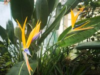IMG_20230110_135525.jpg