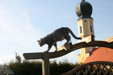 März1210.jpg