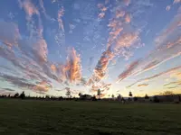 IMG_20201122_161417.webp