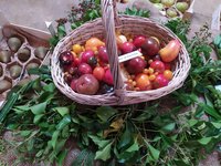 IMG_20210912_121505.jpg