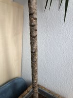 28165259-04AC-4CB2-8156-89CE7EEFB1C1.jpeg