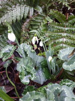 20230112_134807.jpg