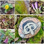 Erste Blüten 2023.jpg