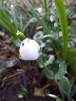 20230114_115447.jpg