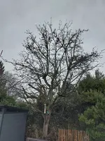 20230114_112302.webp